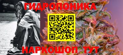 PSILOCYBIN Первоуральск