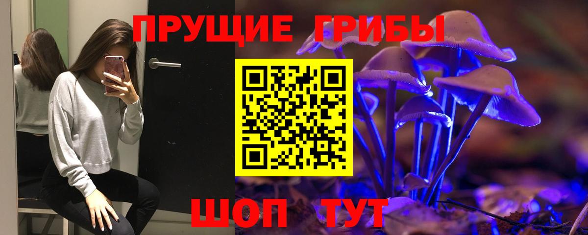 Туапсе  Псилоцибиновые грибы Psilocybe  Вход с VPN 